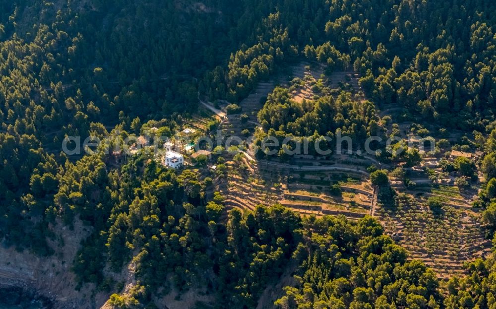 Valldemossa from the bird's eye view: Single-family home with terraced olive and wine cultivation in Valldemossa in Balearic island of Mallorca, Spain