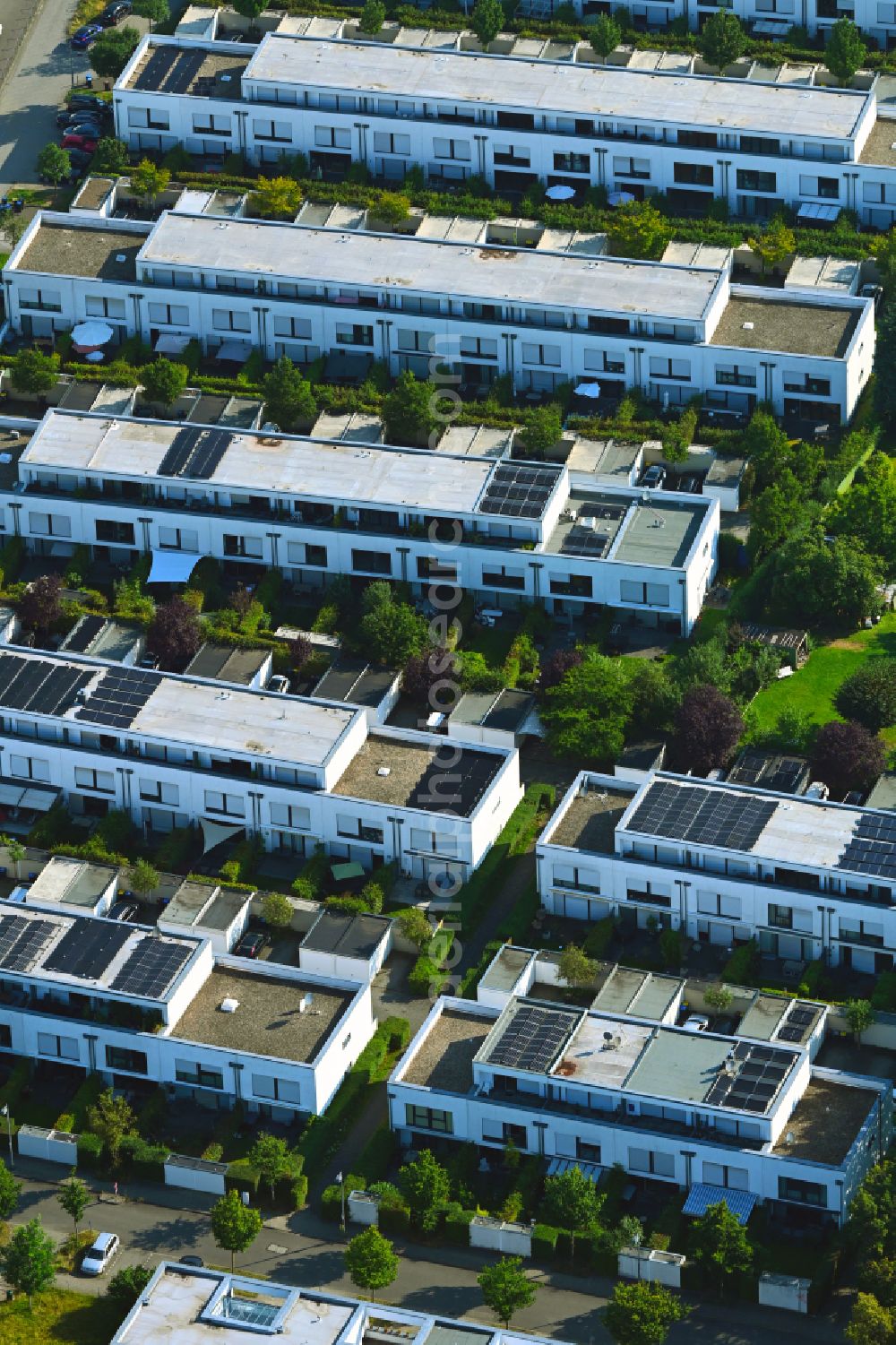 Köln from the bird's eye view: Single-family house - residential area in the form of a semi-detached house as a terraced housing development on street Kaethe-Paulus-Strasse in the district Ossendorf in Cologne in the state North Rhine-Westphalia, Germany