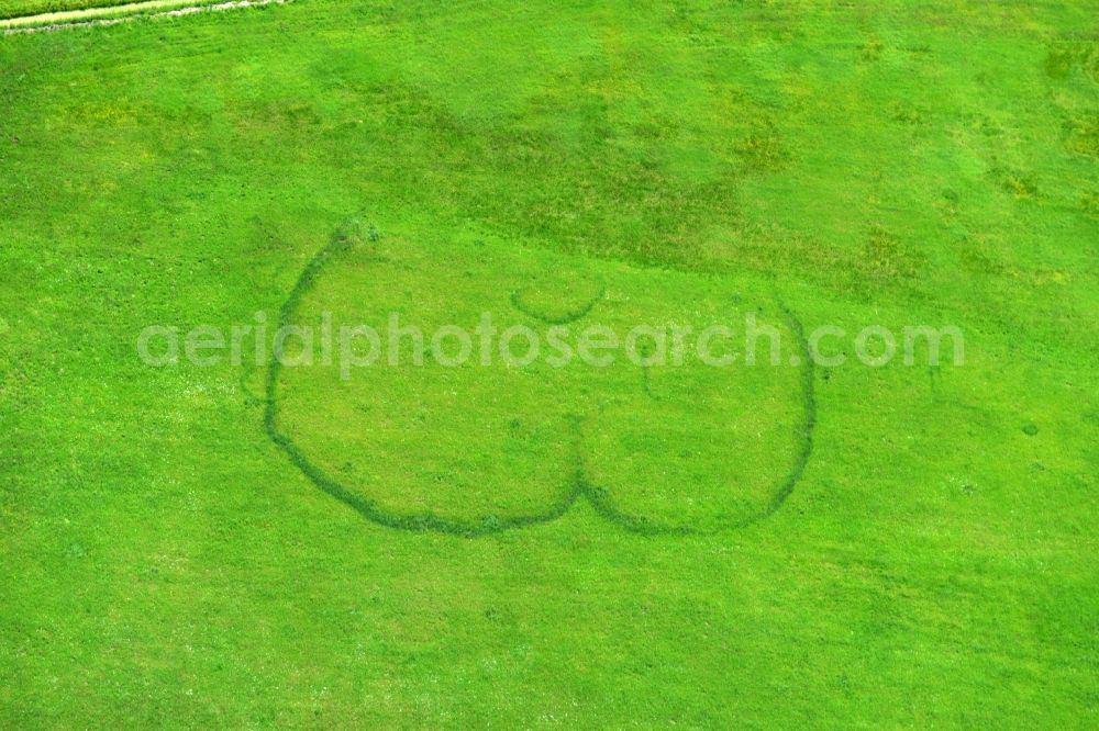 Burg from the bird's eye view: Buttocks impression symbolized a rear part - ass on a green meadow on the outskirts of the Burg in Saxony-Anhalt