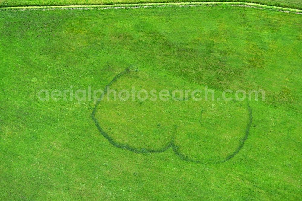 Aerial image Burg - Buttocks impression symbolized a rear part - ass on a green meadow on the outskirts of the Burg in Saxony-Anhalt