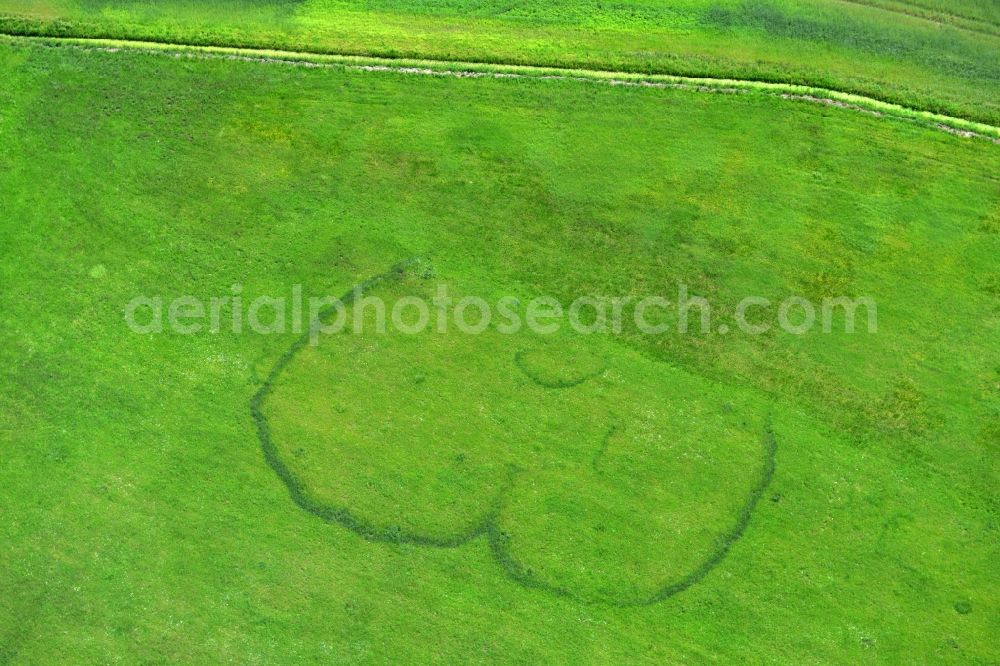 Aerial photograph Burg - Buttocks impression symbolized a rear part - ass on a green meadow on the outskirts of the Burg in Saxony-Anhalt