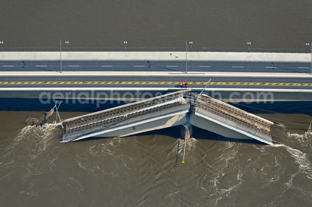 Aerial image Dresden - Concrete segments of the collapsed river bridge structure for crossing the Elbe Carolabruecke on the street Carolabruecke in Dresden in the federal state of Saxony, Germany, have fallen down into the riverbed of the Elbe