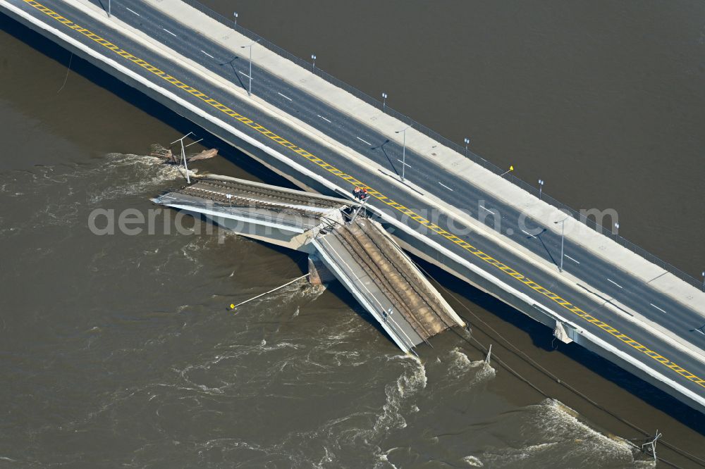 Aerial photograph Dresden - Concrete segments of the collapsed river bridge structure for crossing the Elbe Carolabruecke on the street Carolabruecke in Dresden in the federal state of Saxony, Germany, have fallen down into the riverbed of the Elbe