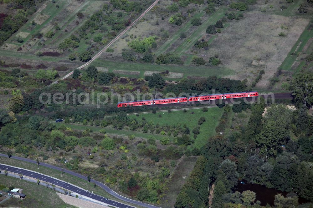 Ingelheim am Rhein from the bird's eye view: Railway with train in Ingelheim am Rhein in Rhineland-Palatinate