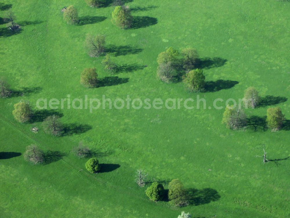 Elster from above - Blick auf Elbauen, am Mittellauf der Elbe stehen weite Überflutungsflächen zur Verfügung, die weitgehend landwirtschaftlich genutzt werden