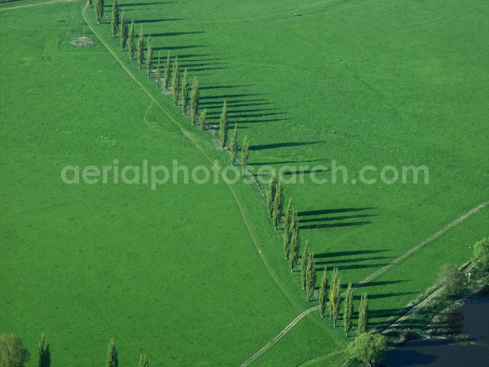 Elster from the bird's eye view: Blick auf Elbauen, am Mittellauf der Elbe stehen weite Überflutungsflächen zur Verfügung, die weitgehend landwirtschaftlich genutzt werden