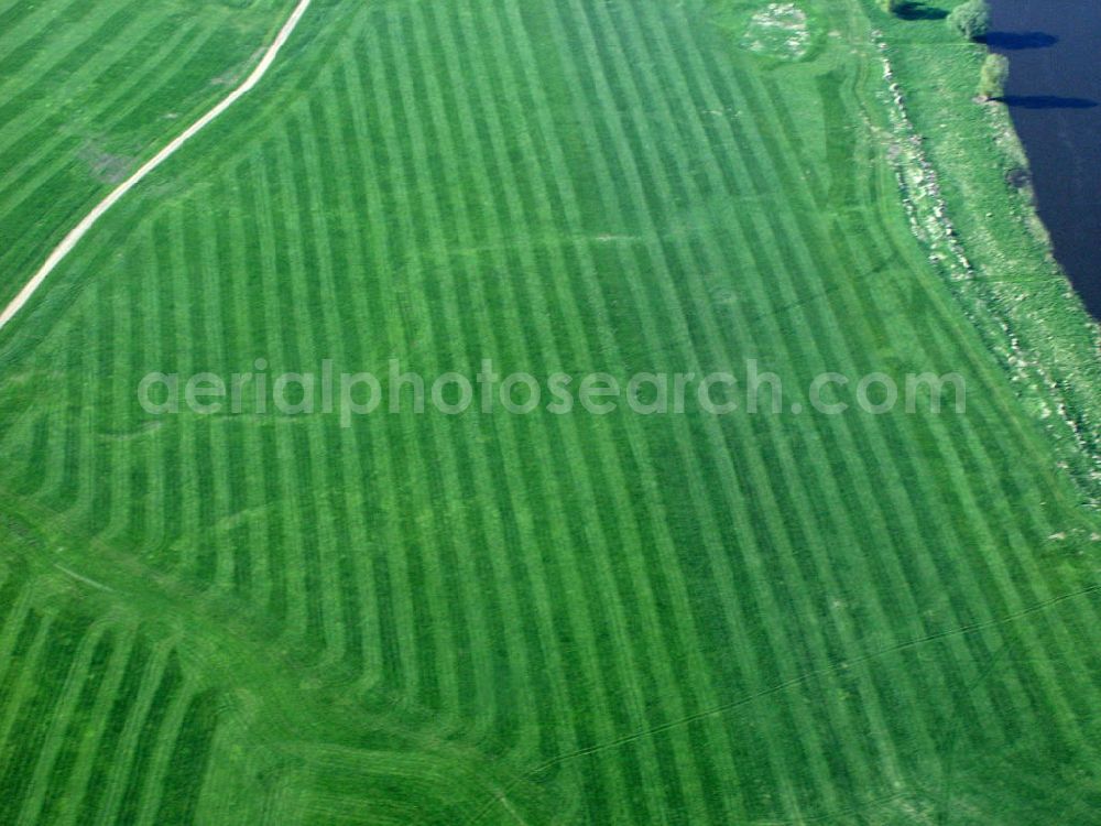 Aerial photograph Elster - Blick auf Elbauen, am Mittellauf der Elbe stehen weite Überflutungsflächen zur Verfügung, die weitgehend landwirtschaftlich genutzt werden