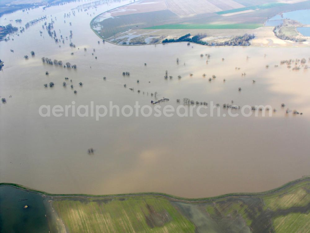 Pretzsch from the bird's eye view: Blick auf überflutete Flächen durch das Hochwasser / Elbhochwasser bei Pretzsch.