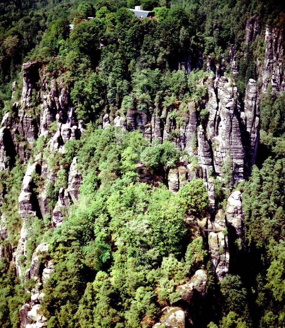 Bad Schandau / Sachsen from the bird's eye view: 