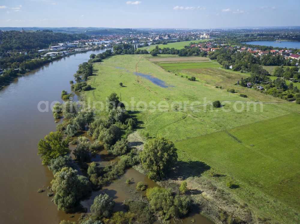 Pirna from the bird's eye view: Elbe meadows in Pirna on the river Elbe in the state of Saxony, Germany