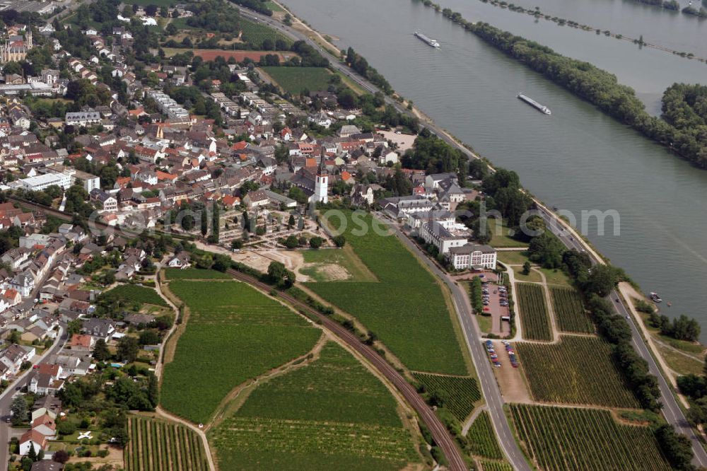 Aerial photograph Eltville - Blick auf den Ortsteil Erbach in der Weinstadt Eltville im Rheingau, mit der spätgotischen St. Markus Kirche, welche Mitte des 15. Jahrhunderts erbaut wurde. View to the city district Erbach of Eltville with the gothical St. Markus Church which was built in the middle of the 15th century.