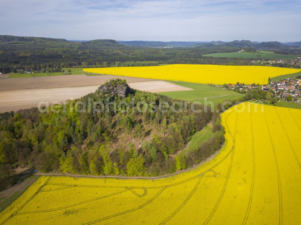 Aerial image Reinhardtsdorf - Structures on agricultural fields on Fusse of Ensembles Kaiserkrone, Zirkelstein and den Zschirnsteinen in Reinhardtsdorf Saechsischen Schweiz in the state Saxony, Germany