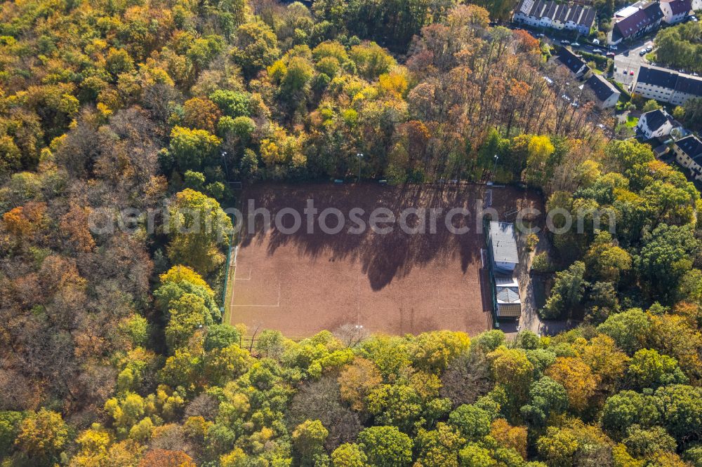 Hagen from the bird's eye view: Ensemble of sports grounds Freiheitsplatz on street Schuelinghauser Strasse in Hagen at Ruhrgebiet in the state North Rhine-Westphalia, Germany