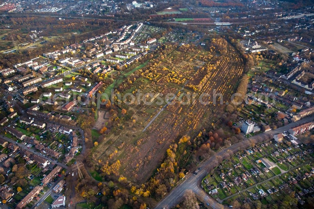 Duisburg from above - Development area and building land fallow along the Weseler street and the Zechenstrasse in the district Marxloh in Duisburg in the state North Rhine-Westphalia