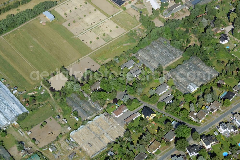 Berlin from the bird's eye view: Development area of wasteland on the site of a former nurseryan der Pfauenkehre in Berlin in Germany