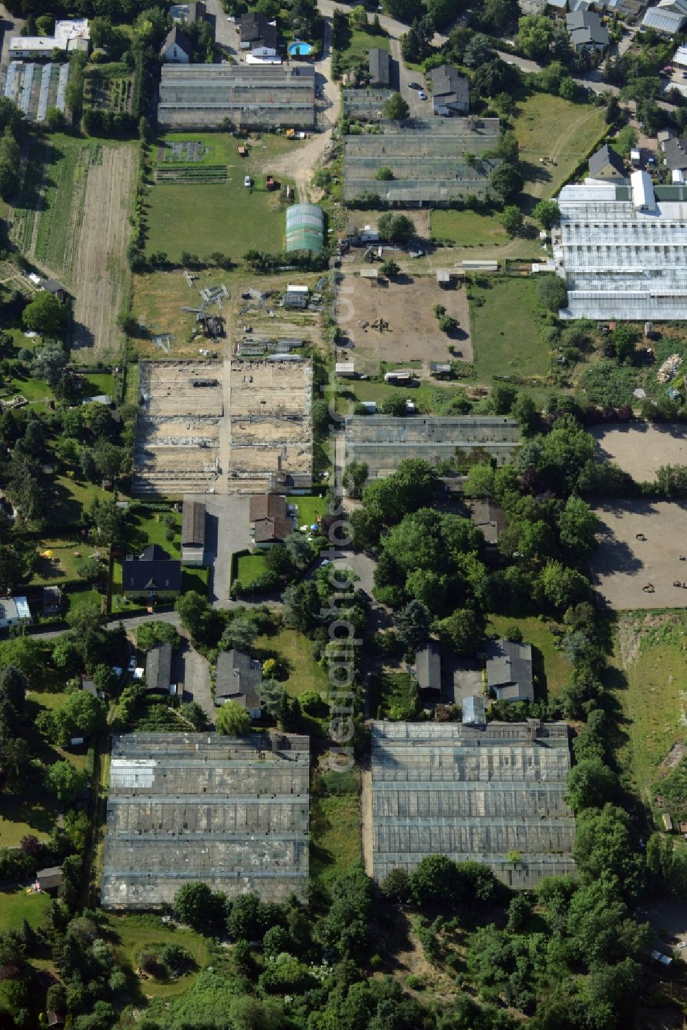 Aerial photograph Berlin - Development area of wasteland on the site of a former nurseryan der Pfauenkehre in Berlin in Germany