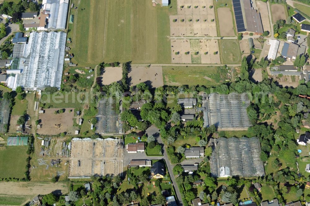 Berlin from above - Development area of wasteland on the site of a former nurseryan der Pfauenkehre in Berlin in Germany