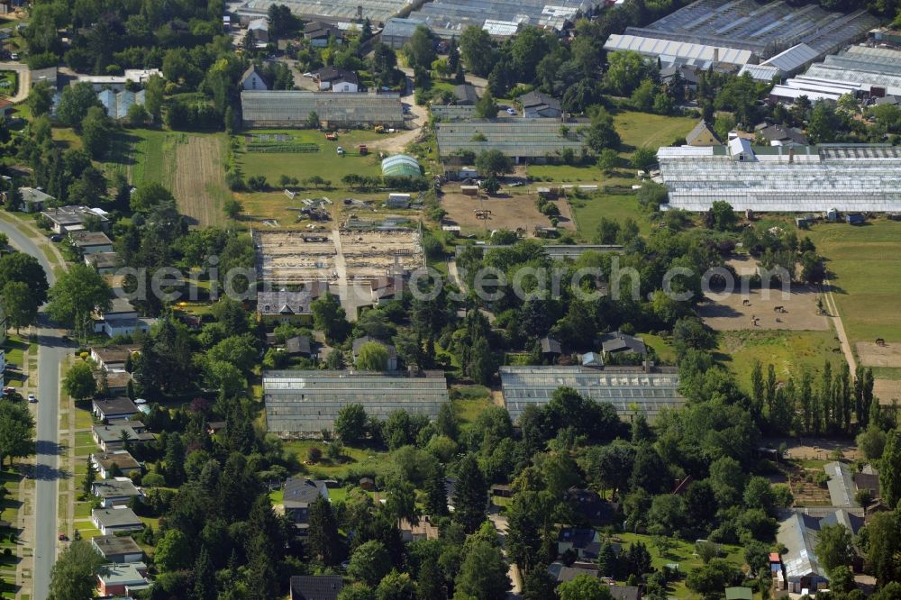 Berlin from the bird's eye view: Development area of wasteland on the site of a former nurseryan der Pfauenkehre in Berlin in Germany