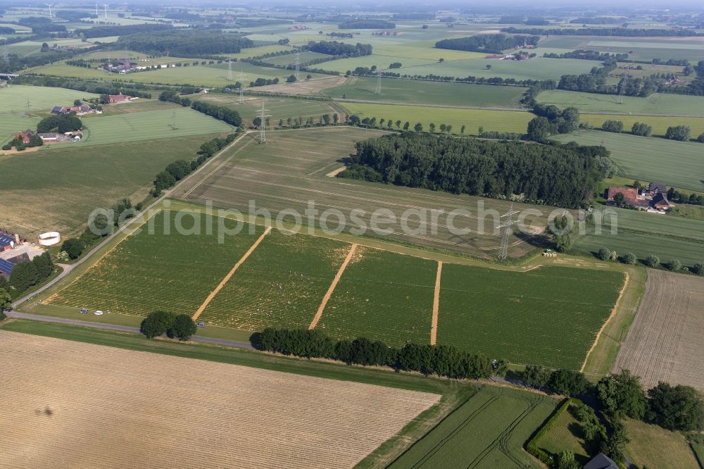 Aerial photograph Hamm - View of Strawberry - harvest on field - rows at Hamm in North Rhine-Westphalia