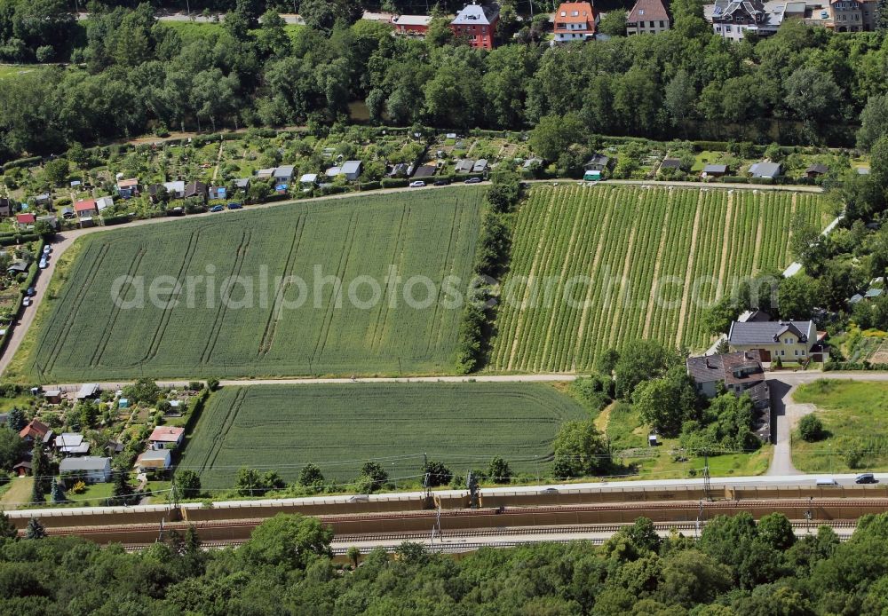 Aerial photograph Erfurt - View at some strawberry fields nearby Erfurt at the street Motzstraße in the state of Thuringia