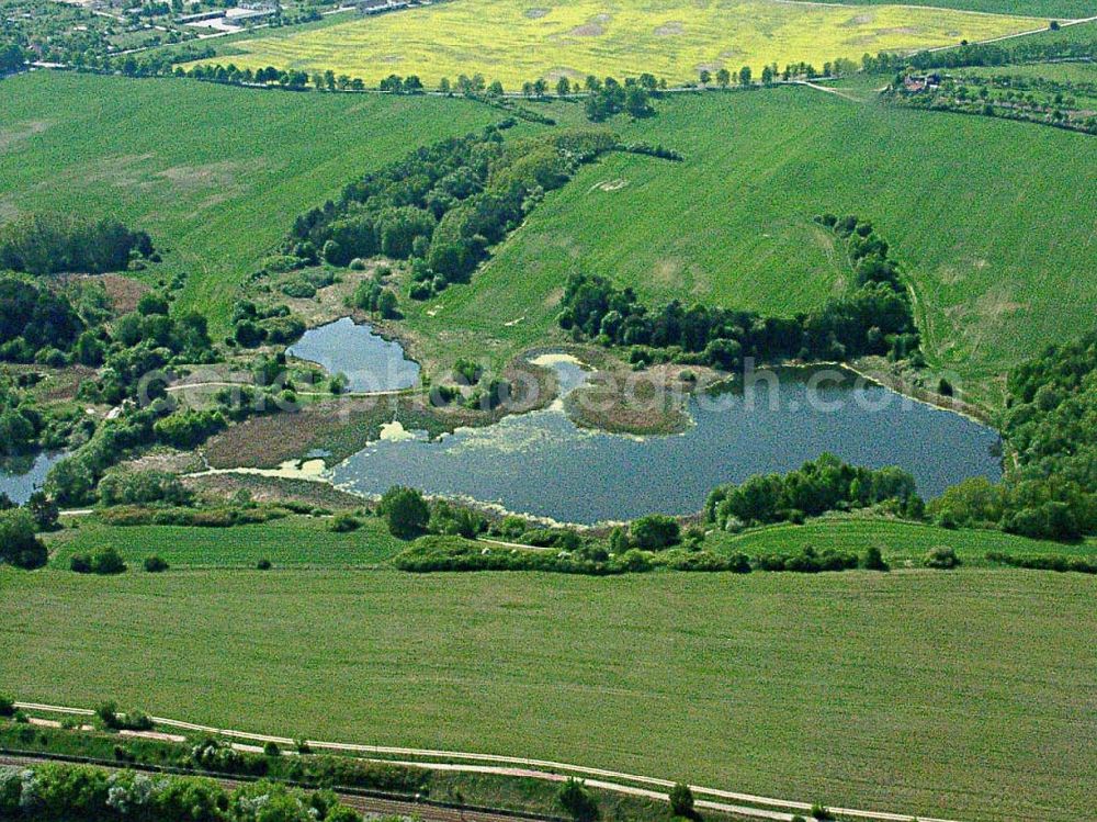 Frankfurt / Oder from above - Erholungsgebiet am westlichen Stadtrand von Frankfurt / Oder.