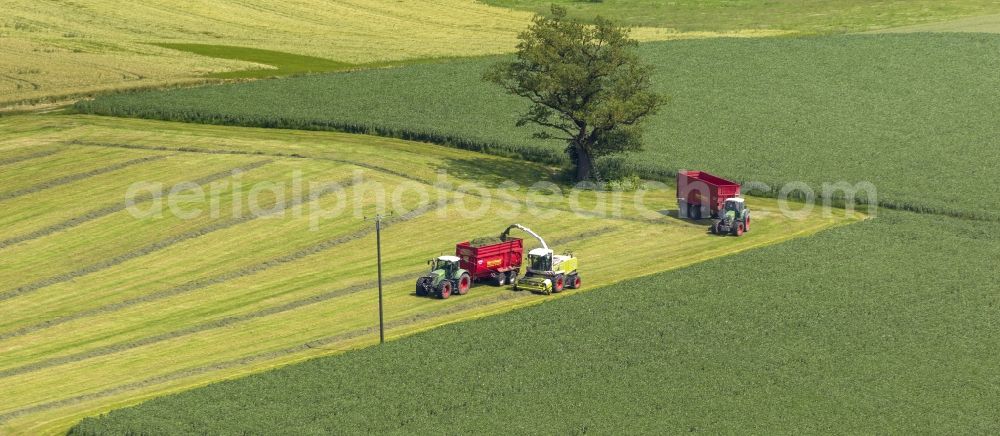 Aerial photograph Rüthen - Harvest on fields at Ruethen in Sauerland North Rhine-Westphalia