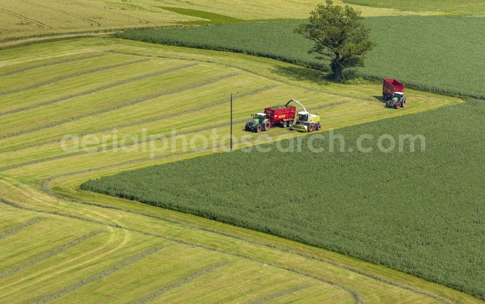 Rüthen from above - Harvest on fields at Ruethen in Sauerland North Rhine-Westphalia