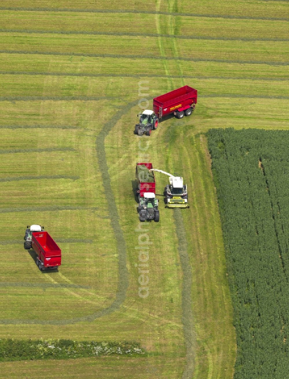 Rüthen from the bird's eye view: Harvest on fields at Ruethen in Sauerland North Rhine-Westphalia