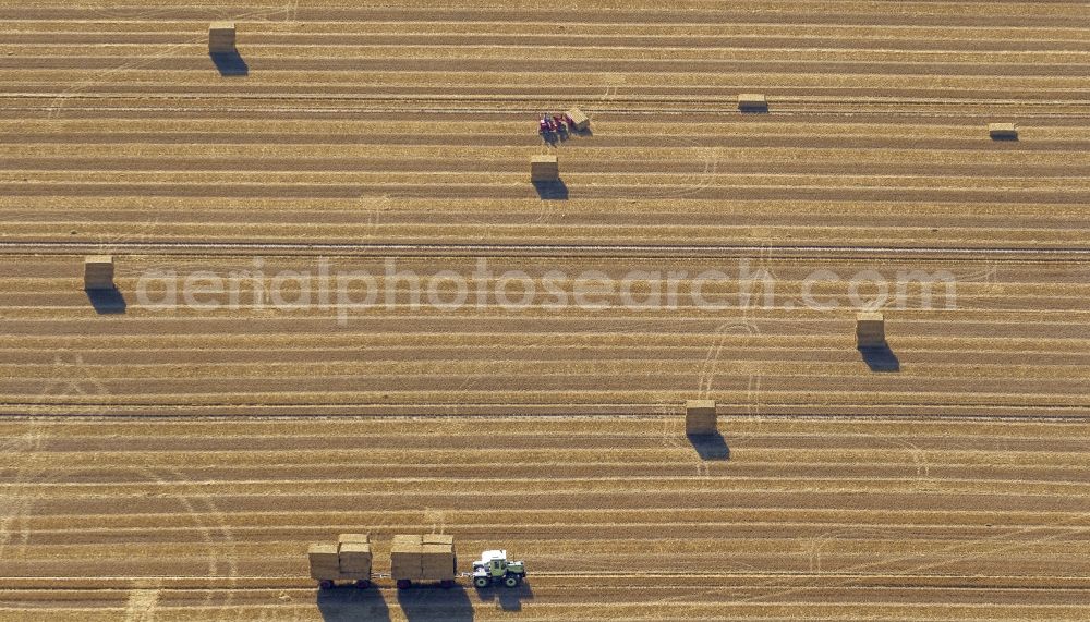 Übach-Palenberg from above - Harvest on fields in the vicinity of Uebach-Palenberg with harvest vehicles in the Ruhr area in North Rhine-Westphalia