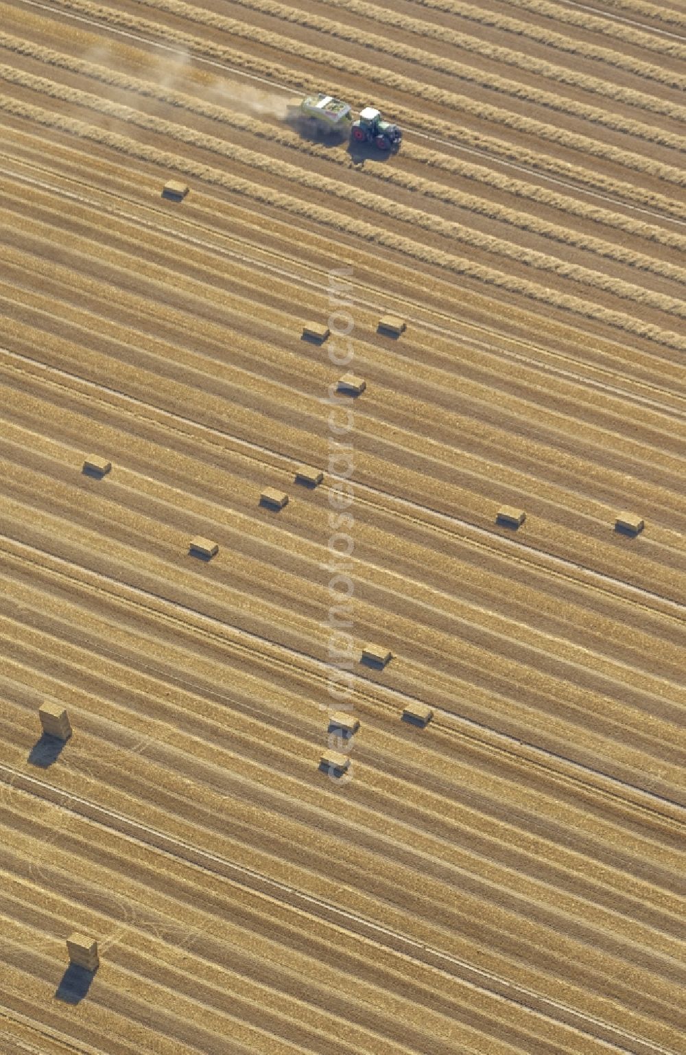 Übach-Palenberg from the bird's eye view: Harvest on fields in the vicinity of Uebach-Palenberg with harvest vehicles in the Ruhr area in North Rhine-Westphalia