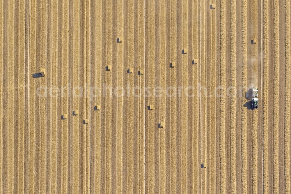 Aerial image Übach-Palenberg - Harvest on fields in the vicinity of Uebach-Palenberg with harvest vehicles in the Ruhr area in North Rhine-Westphalia