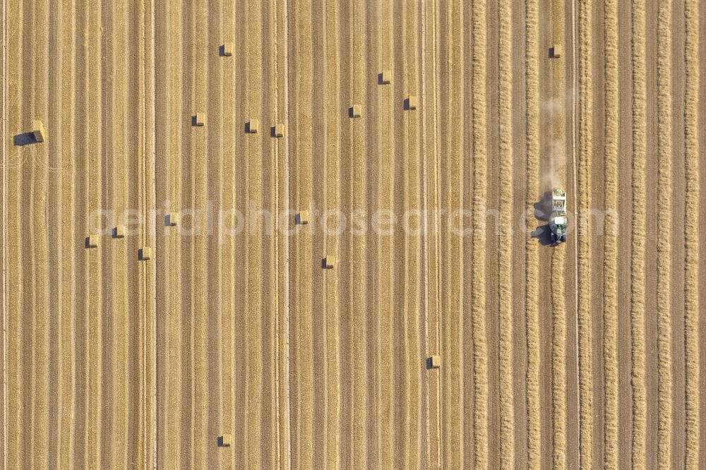 Aerial photograph Übach-Palenberg - Harvest on fields in the vicinity of Uebach-Palenberg with harvest vehicles in the Ruhr area in North Rhine-Westphalia