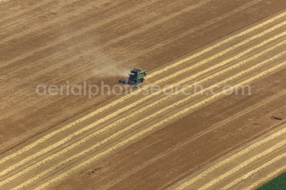 Dorsten from above - Harvest grain - fields on a farm on the outskirts of Dorsten, North Rhine-Westphalia