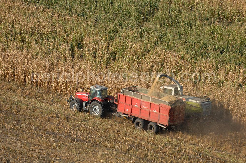 Ribbeck from above - Herbstimpressionen der besonderen Art bieten sich dem Betrachter aus der Vogelperspektive bei der Ernte im brandenburgischen Ribbeck.