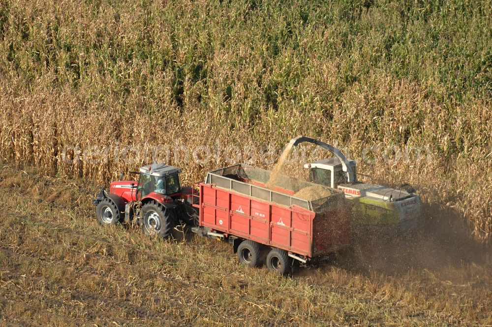 Aerial image Ribbeck - Herbstimpressionen der besonderen Art bieten sich dem Betrachter aus der Vogelperspektive bei der Ernte im brandenburgischen Ribbeck.