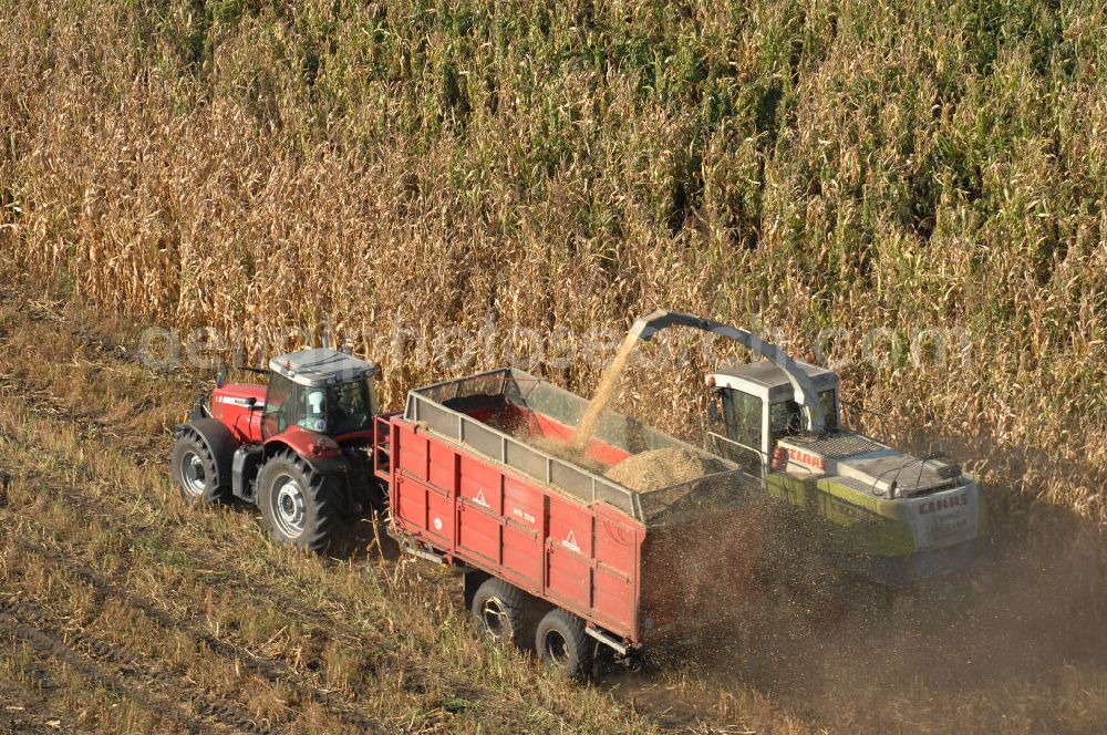 Ribbeck from above - Herbstimpressionen der besonderen Art bieten sich dem Betrachter aus der Vogelperspektive bei der Ernte im brandenburgischen Ribbeck.