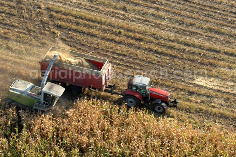 Aerial image Ribbeck - Herbstimpressionen der besonderen Art bieten sich dem Betrachter aus der Vogelperspektive bei der Ernte im brandenburgischen Ribbeck.