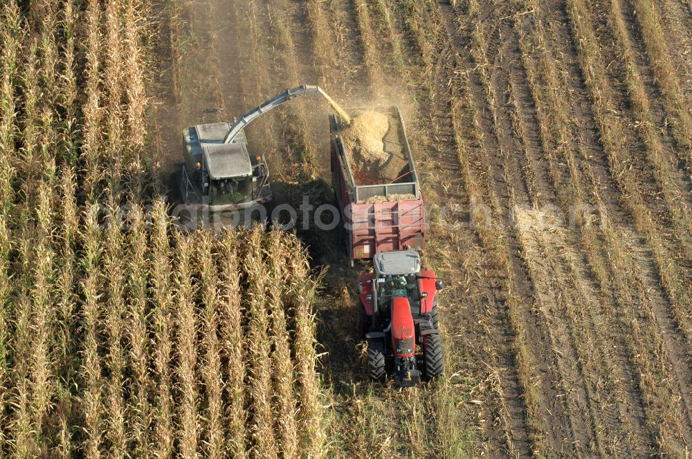 Ribbeck from above - Herbstimpressionen der besonderen Art bieten sich dem Betrachter aus der Vogelperspektive bei der Ernte im brandenburgischen Ribbeck.