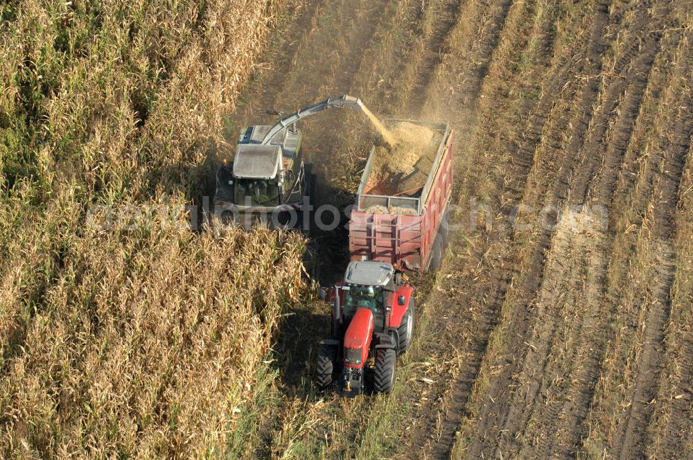 Ribbeck from the bird's eye view: Herbstimpressionen der besonderen Art bieten sich dem Betrachter aus der Vogelperspektive bei der Ernte im brandenburgischen Ribbeck.