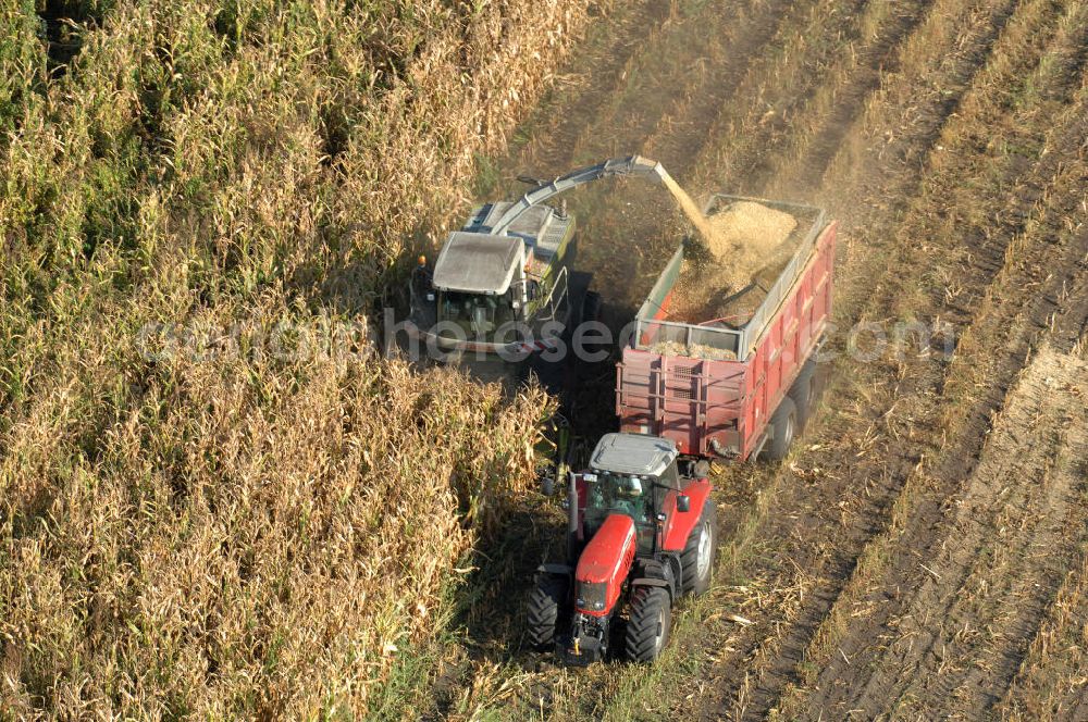 Aerial image Ribbeck - Herbstimpressionen der besonderen Art bieten sich dem Betrachter aus der Vogelperspektive bei der Ernte im brandenburgischen Ribbeck.