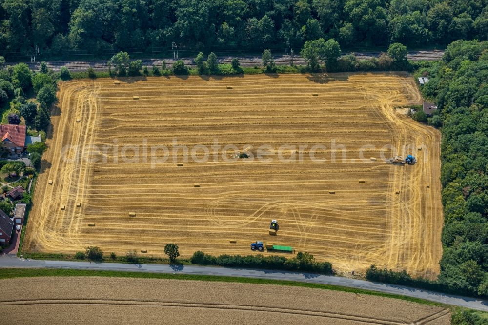 Drensteinfurt from above - Harvest use of heavy agricultural machinery - combine harvesters and harvesting vehicles on agricultural fields in Drensteinfurt in the state North Rhine-Westphalia, Germany