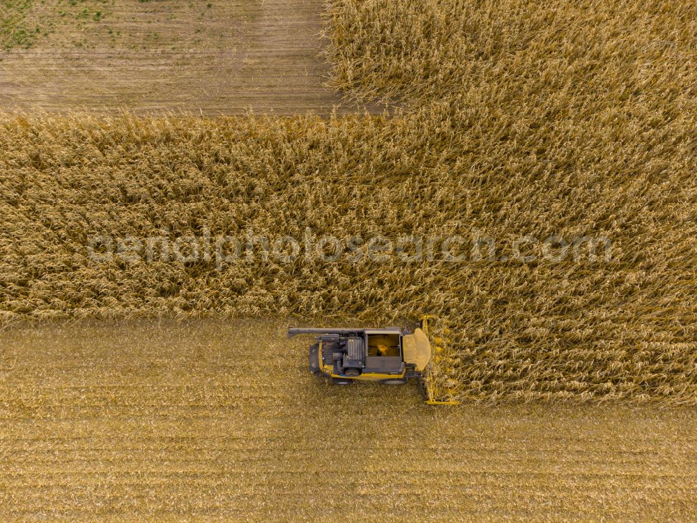 Aerial photograph Bannewitz - Corn harvesting with heavy agricultural machinery - combine harvesters and harvesting vehicles on agricultural fields along the road Alter Postweg in Bannewitz in the state of Saxony, Germany