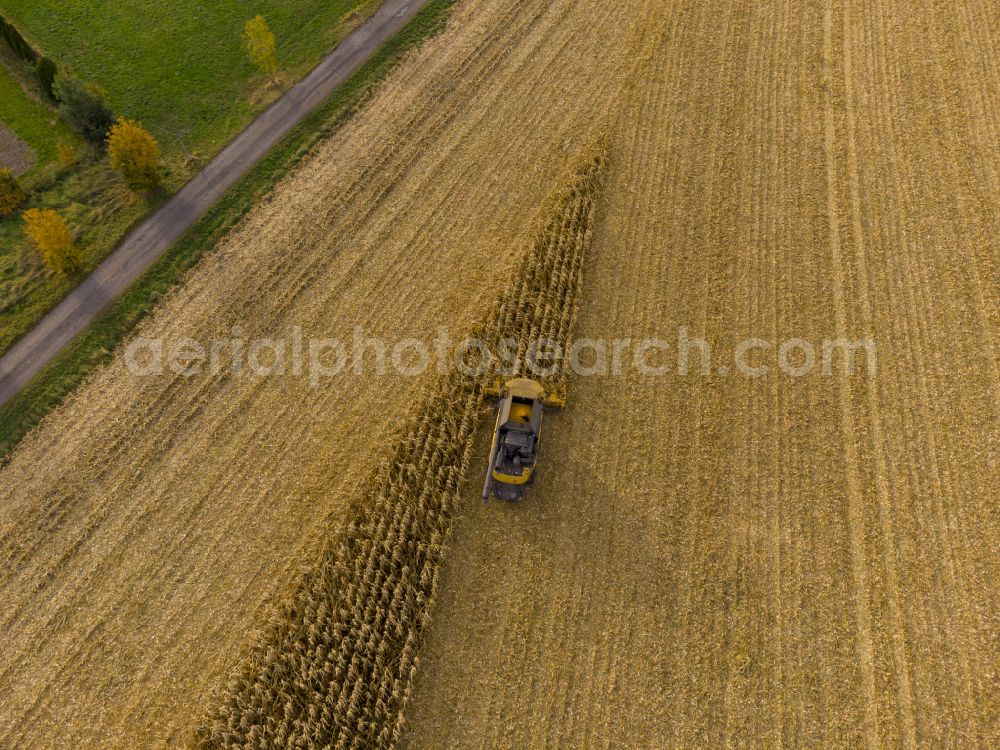 Bannewitz from the bird's eye view: Corn harvesting with heavy agricultural machinery - combine harvesters and harvesting vehicles on agricultural fields along the road Alter Postweg in Bannewitz in the state of Saxony, Germany