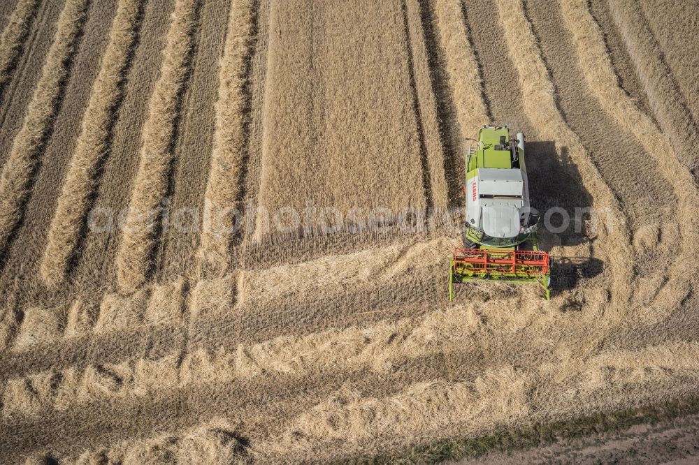 Aerial image Blaustein - Harvest use of heavy agricultural machinery - combine harvesters and harvesting vehicles on agricultural fields in Blaustein in the state Baden-Wuerttemberg