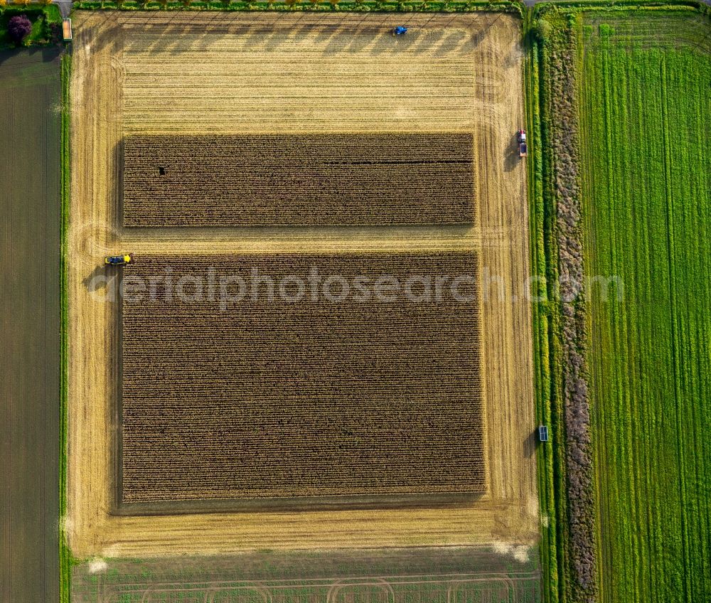 Dortmund from above - Harvest use of heavy agricultural machinery - combine harvesters and harvesting vehicles on agricultural fields in Dortmund in the state North Rhine-Westphalia