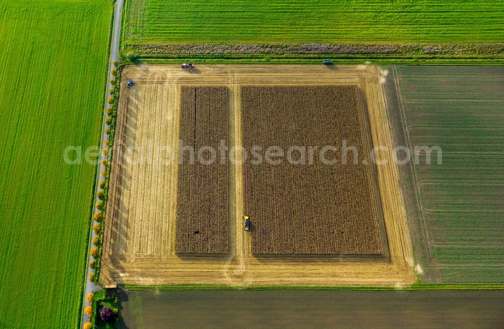 Aerial image Dortmund - Harvest use of heavy agricultural machinery - combine harvesters and harvesting vehicles on agricultural fields in Dortmund in the state North Rhine-Westphalia