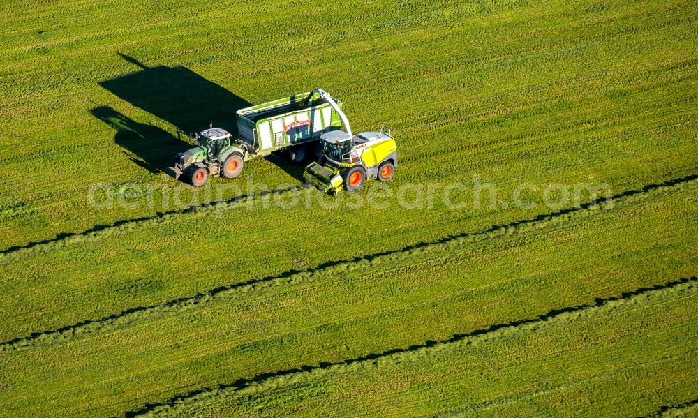 Ebbinghof from the bird's eye view: Harvest use of heavy agricultural machinery - combine harvesters and harvesting vehicles on agricultural fields in Ebbinghof in the state North Rhine-Westphalia