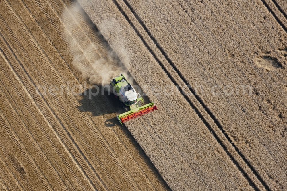 Friedland from above - Harvest use of heavy agricultural machinery - combine harvesters and harvesting vehicles on agricultural fields in Friedland in the state Lower Saxony