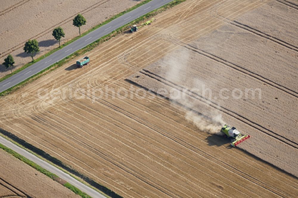 Friedland from the bird's eye view: Harvest use of heavy agricultural machinery - combine harvesters and harvesting vehicles on agricultural fields in Friedland in the state Lower Saxony