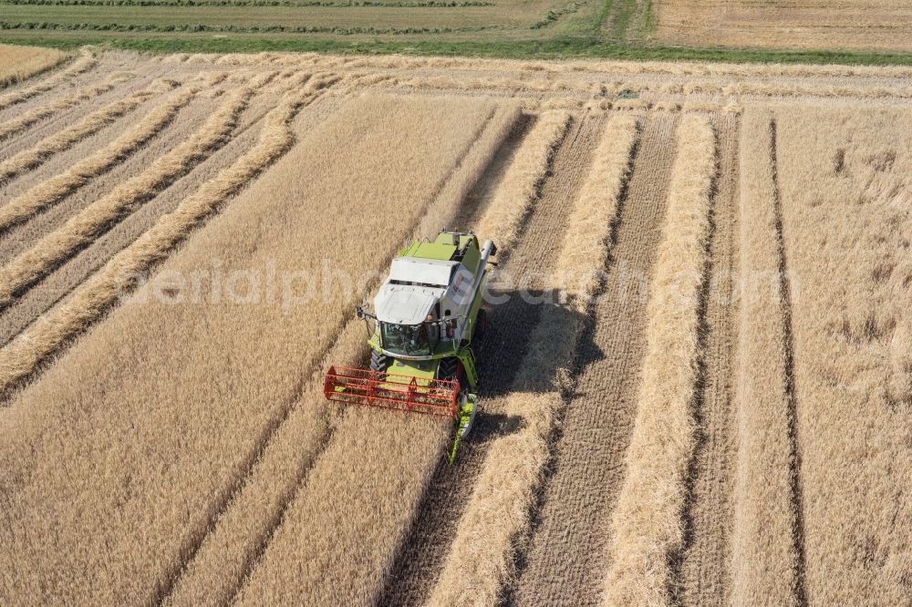 Aerial image Friolzheim - Harvest use of heavy agricultural machinery - combine harvesters and harvesting vehicles on agricultural fields in Friolzheim in the state Baden-Wuerttemberg